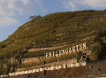 Vineyard Felsengarten Video