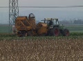 Harvesting sugar beets Video