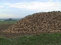 video clip 62973
