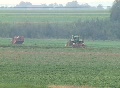 Sugar beets harvesting Video