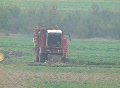 video clip 62981
