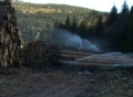 video clip 76859