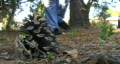 video clip 89547