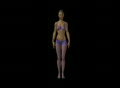 video clip 100769