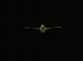 video clip 105473