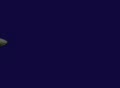 video clip 108691