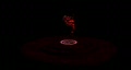 video clip 114299