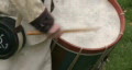Revolutionary War Drummer Boy