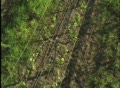 video clip 125167