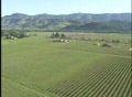 video clip 125169