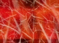 video clip 125229