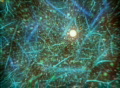 video clip 125525
