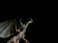 video clip 126041