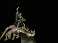 video clip 126047