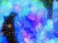 video clip 127923