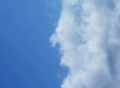 video clip 127935