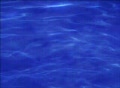 video clip 127943
