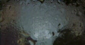 video clip 128871
