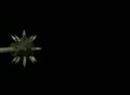 video clip 129431