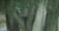video clip 129461