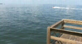 Jet Ski At Fishing Pole Video
