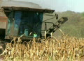 video clip 135217