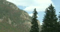 video clip 138543