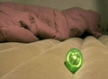 video clip 139839