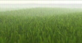 video clip 141657