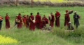 video clip 208689