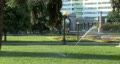 video clip 233321