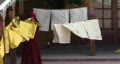 video clip 235147