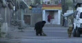 video clip 235187