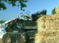 video clip 249841
