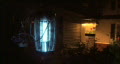 video clip 266743