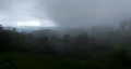 video clip 267165