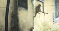 video clip 267359
