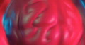 video clip 267439