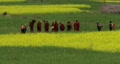 video clip 267867