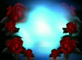 video clip 267969