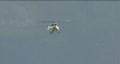 video clip 268121