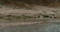 video clip 268215