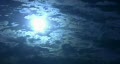 video clip 270061