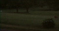 video clip 270075