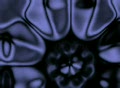 video clip 271837