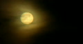 video clip 284489
