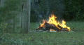 video clip 284647
