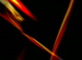 video clip 286757