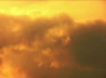 video clip 288353