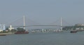 video clip 289493